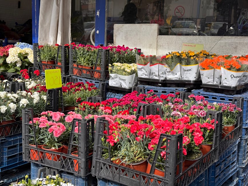 An outdoor display of various flowering plants arranged in black plastic crates and terracotta pots, featuring pink, white, red, yellow, and orange blooms. The flowers include carnations and marigolds